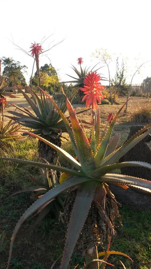 African Flair Country Lodge Piet Retief Luaran gambar