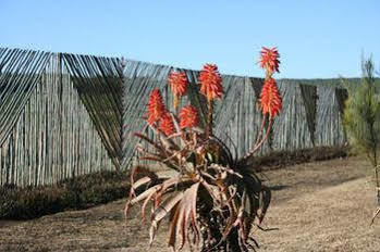 African Flair Country Lodge Piet Retief Luaran gambar