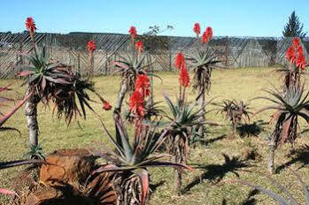 African Flair Country Lodge Piet Retief Luaran gambar